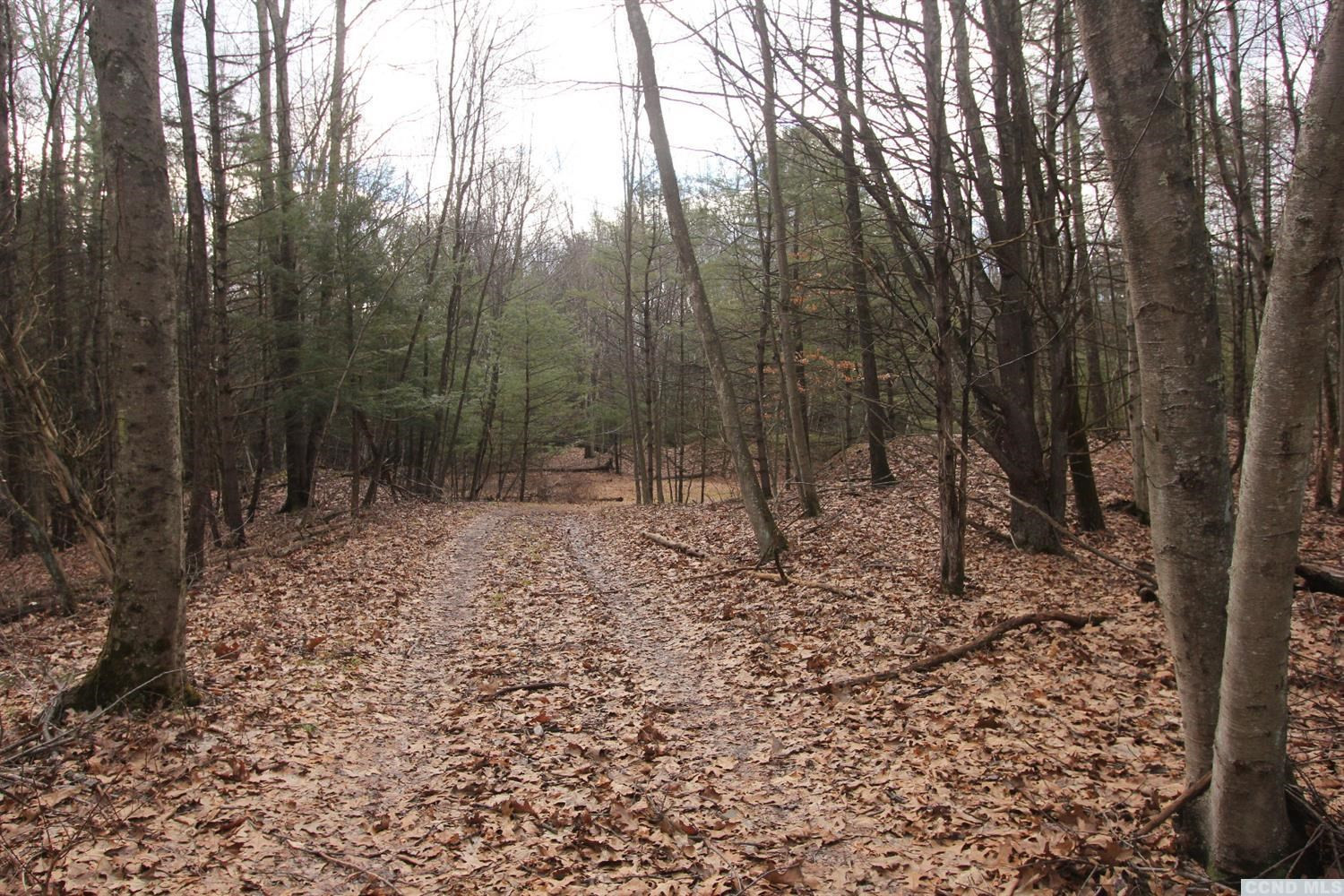 0 Prosperous Valley Road Middletown, NY 10940 - Photo 14 of 36 Photo 14