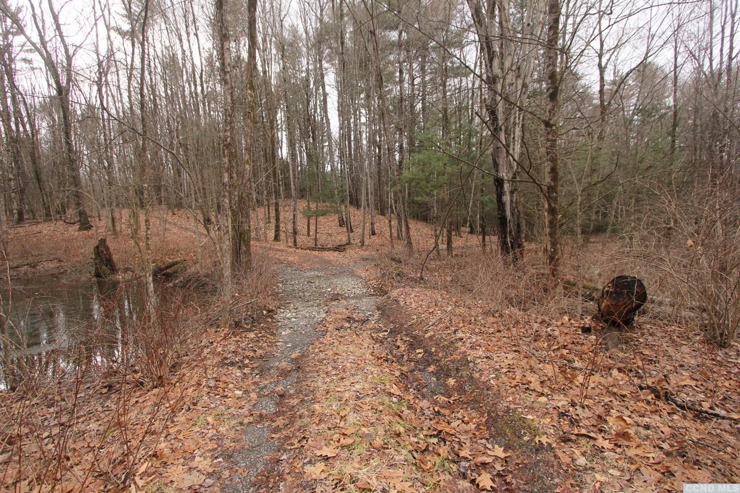 0 Prosperous Valley Road Middletown, NY 10940 - Photo 15 of 36 Photo 15