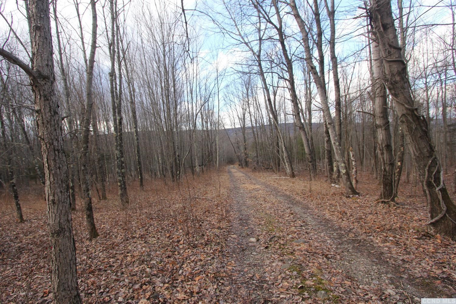 0 Prosperous Valley Road Middletown, NY 10940 - Photo 16 of 36 Photo 16