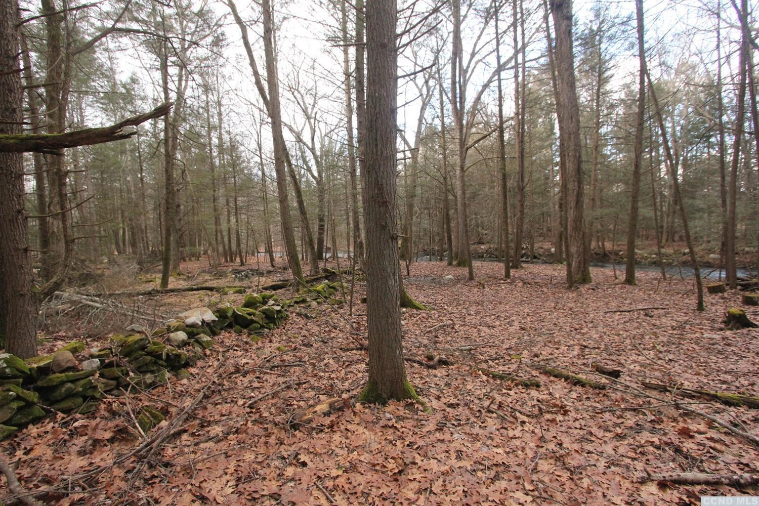0 Prosperous Valley Road Middletown, NY 10940 - Photo 18 of 36 Photo 18