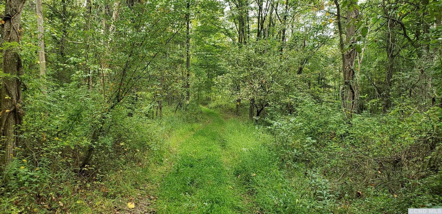 0 Prosperous Valley Road Middletown, NY 10940 - Photo 34 of 36 Photo 34