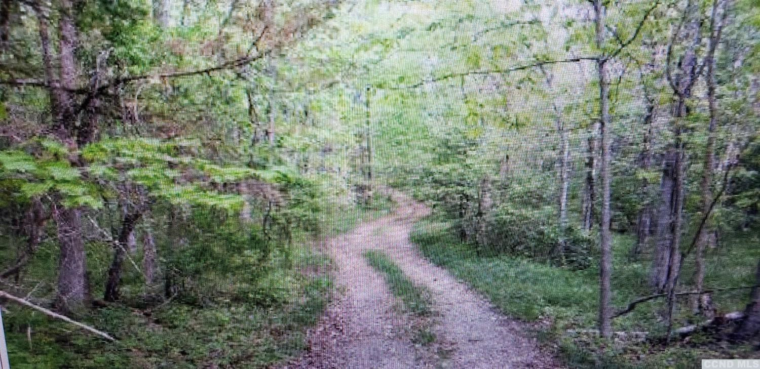 0 Prosperous Valley Road Middletown, NY 10940 - Photo 6 of 36 Photo 6