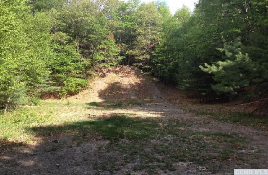 0 Prosperous Valley Road Middletown, NY 10940 - Photo 8 of 36 Photo 8