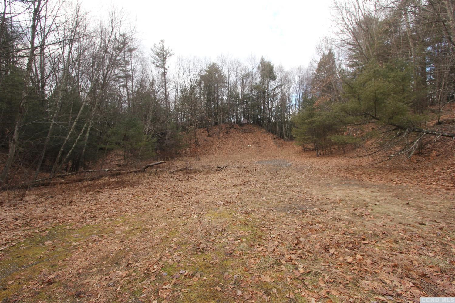 0 Prosperous Valley Road Middletown, NY 10940 - Photo 9 of 36 Photo 9