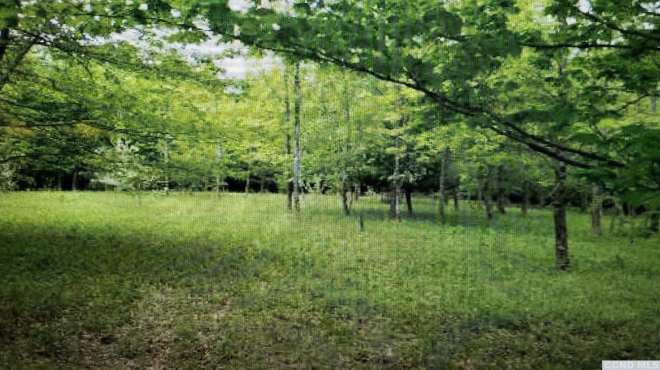 0 Prosperous Valley Road Middletown, NY 10940 - Photo 10 of 36 Photo 10