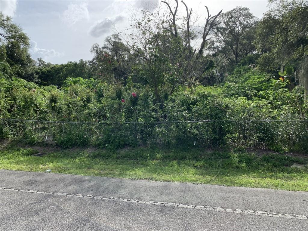 Fatio Road DeLand, FL 32720 - Photo 1 of 1 Gallery Image 1