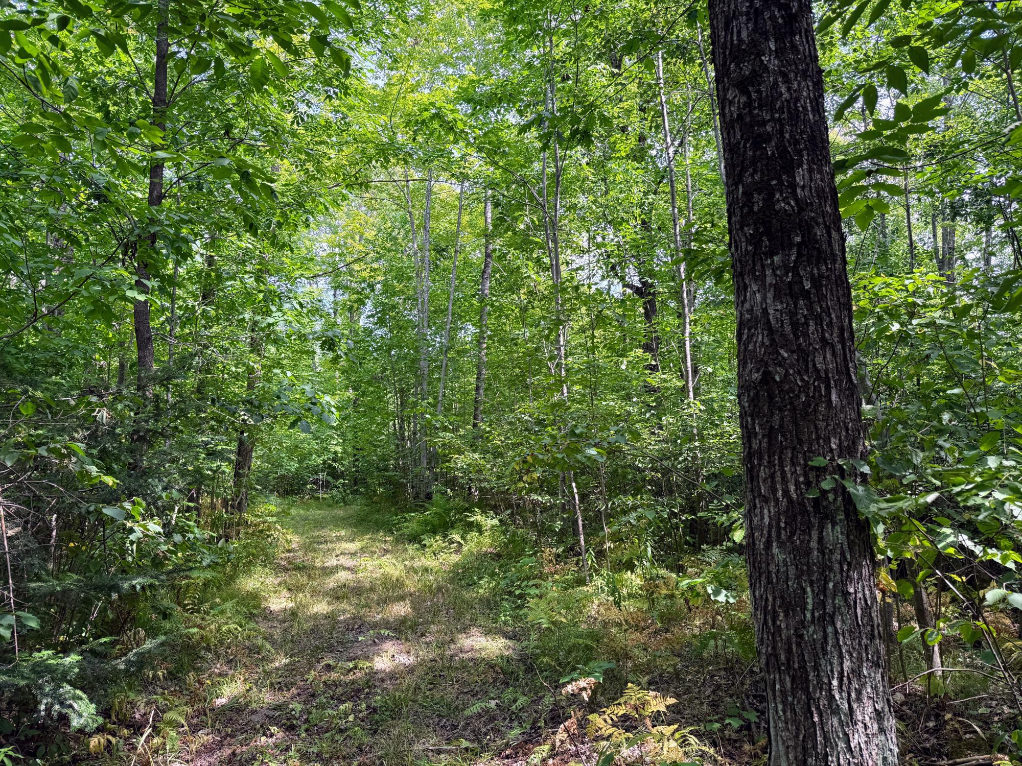 N5402 Aspen Road Brantwood, WI 54513 - Photo 20 of 27 Gallery Image 20