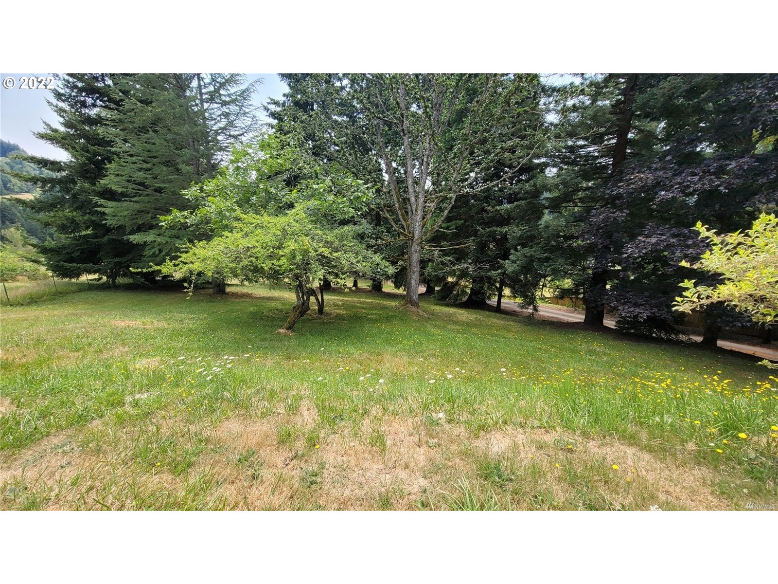 101 Newman Road Kalama, WA 98625 - Photo 8 of 22 Gallery Image 8