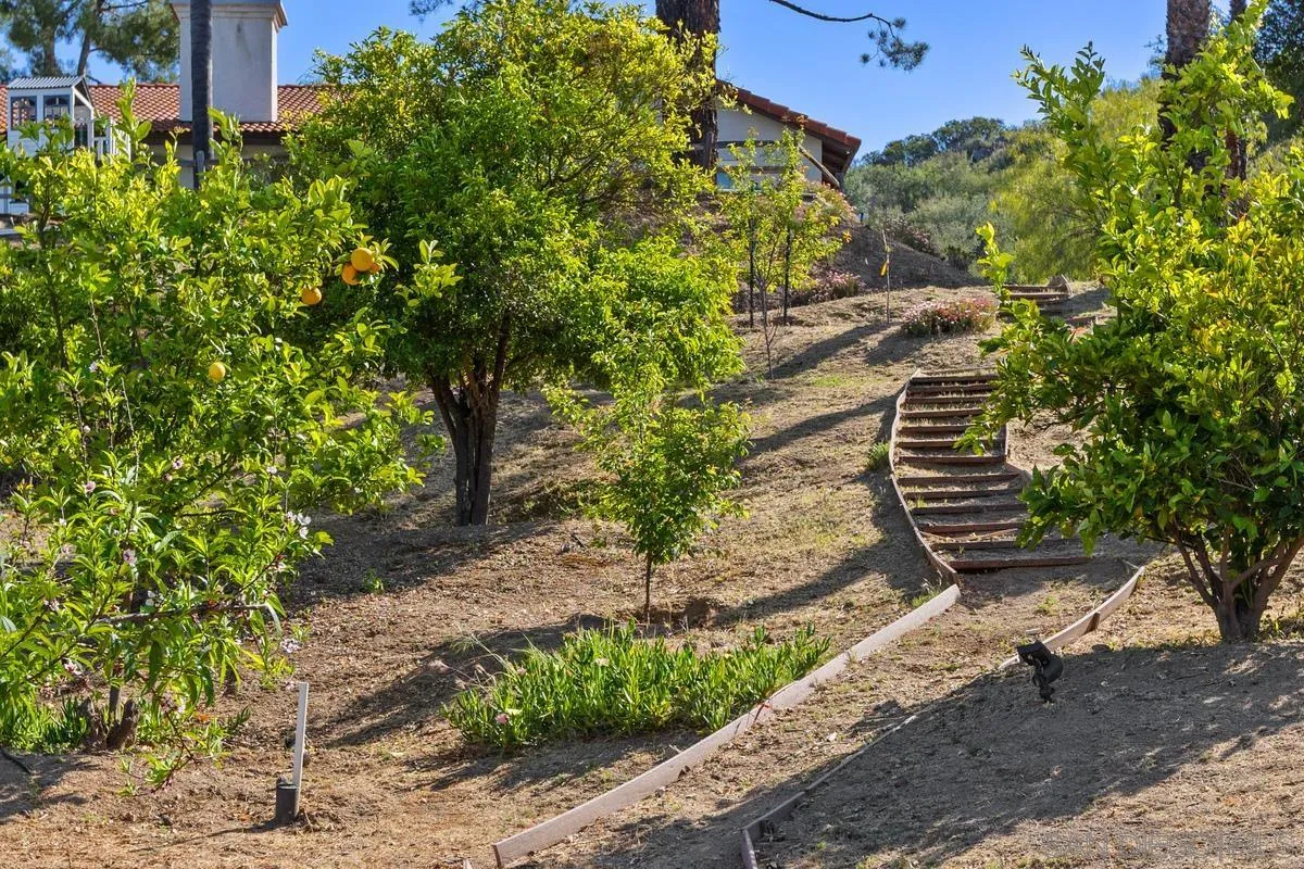 23969 Nectar Way Ramona, CA 92065 - Photo 41 of 54 a backyard of a house with lots of green space