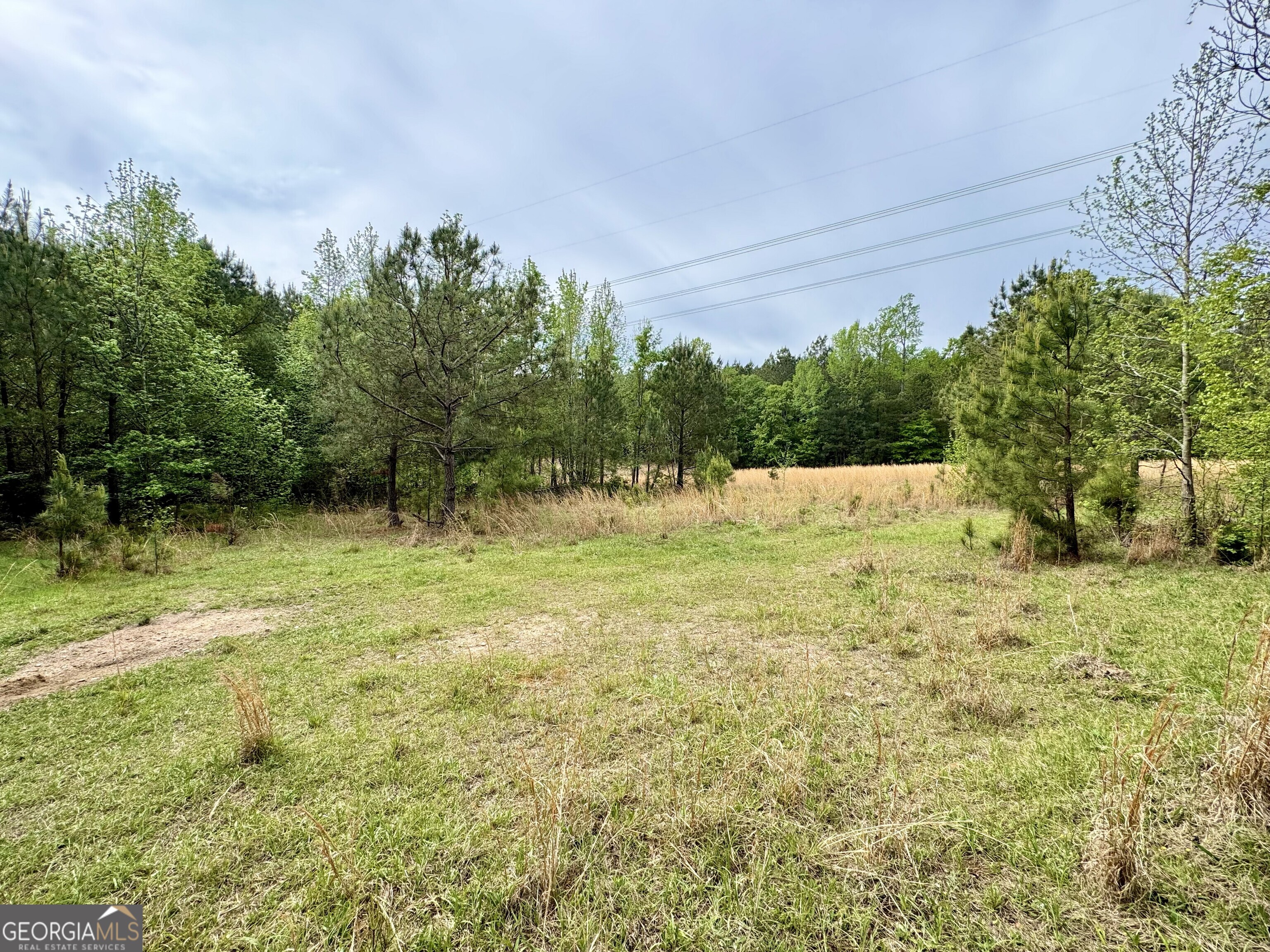 1 Roy Lawrence Road Sparta, GA 31087 - Photo 8 of 33