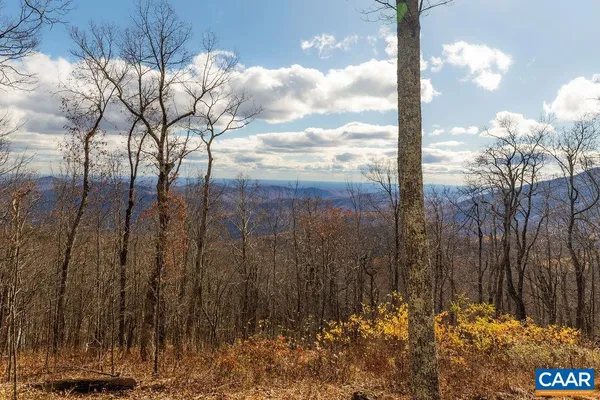 $1,525,000 | 293 White Oak Drive, Roseland, VA 22967