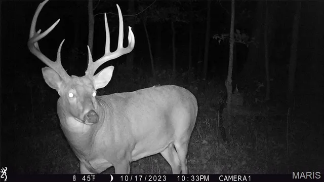 $2,725,000 | 1160 Union Grove Avenue, Greenville, IL 62246