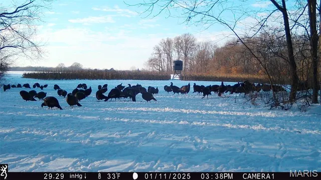 $2,725,000 | 1160 Union Grove Avenue, Greenville, IL 62246