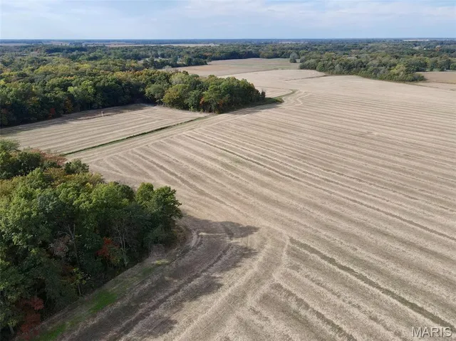 $2,725,000 | 1160 Union Grove Avenue, Greenville, IL 62246