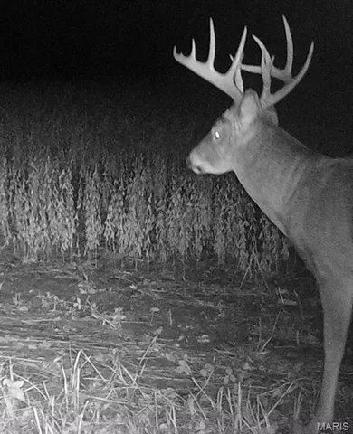 $2,725,000 | 1160 Union Grove Avenue, Greenville, IL 62246