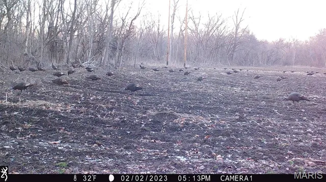 $2,725,000 | 1160 Union Grove Avenue, Greenville, IL 62246