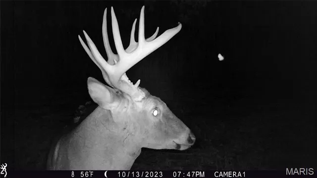 $2,725,000 | 1160 Union Grove Avenue, Greenville, IL 62246