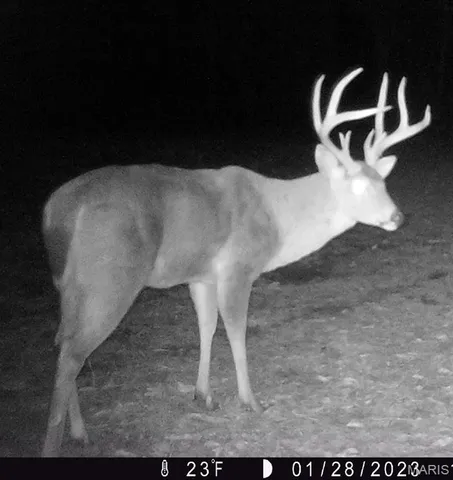 $2,725,000 | 1160 Union Grove Avenue, Greenville, IL 62246