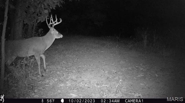 $2,725,000 | 1160 Union Grove Avenue, Greenville, IL 62246