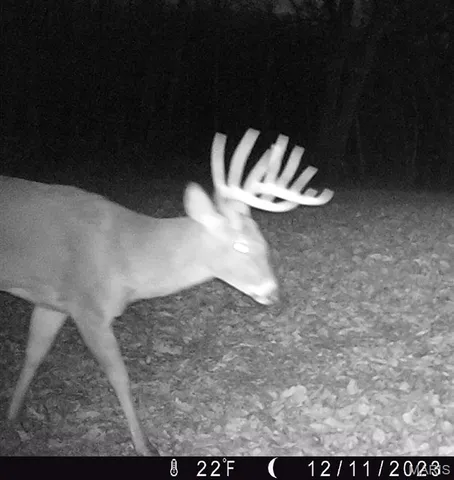 $2,725,000 | 1160 Union Grove Avenue, Greenville, IL 62246