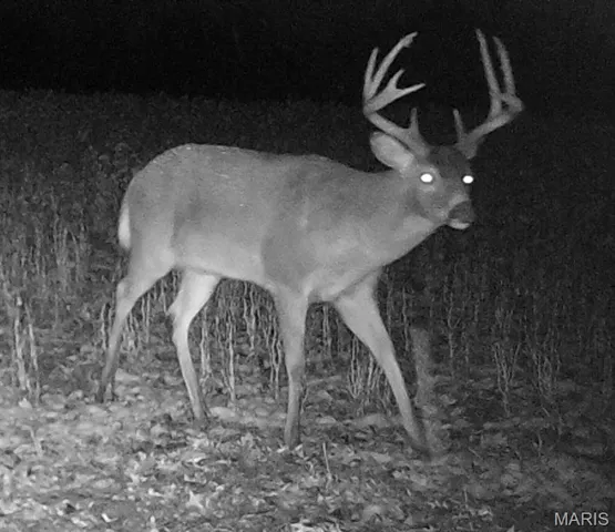 $2,725,000 | 1160 Union Grove Avenue, Greenville, IL 62246