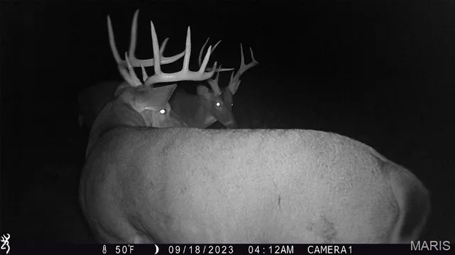 $2,725,000 | 1160 Union Grove Avenue, Greenville, IL 62246