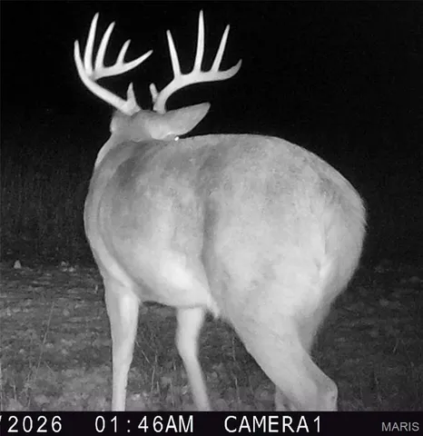 $2,725,000 | 1160 Union Grove Avenue, Greenville, IL 62246