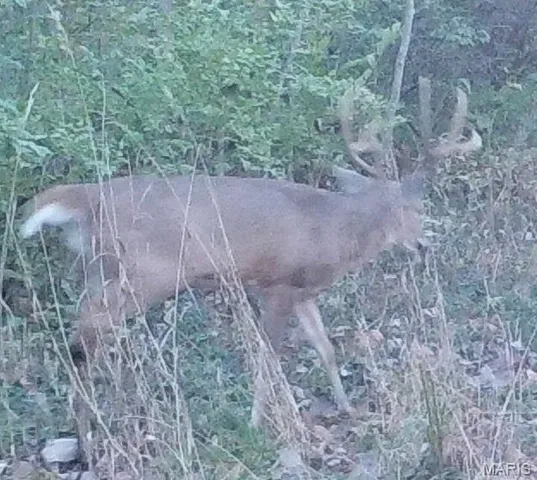 $2,725,000 | 1160 Union Grove Avenue, Greenville, IL 62246