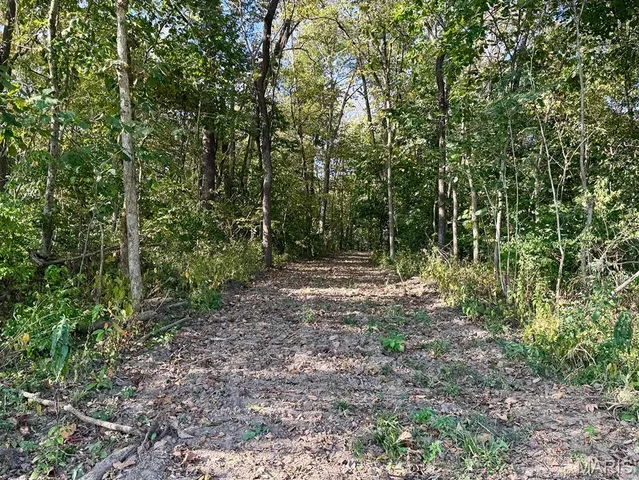 $2,725,000 | 1160 Union Grove Avenue, Greenville, IL 62246