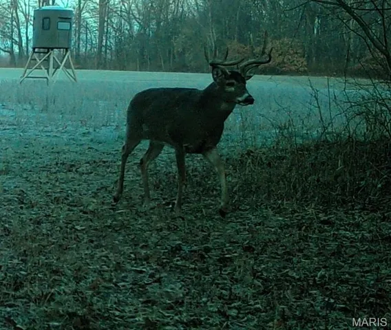 $2,725,000 | 1160 Union Grove Avenue, Greenville, IL 62246