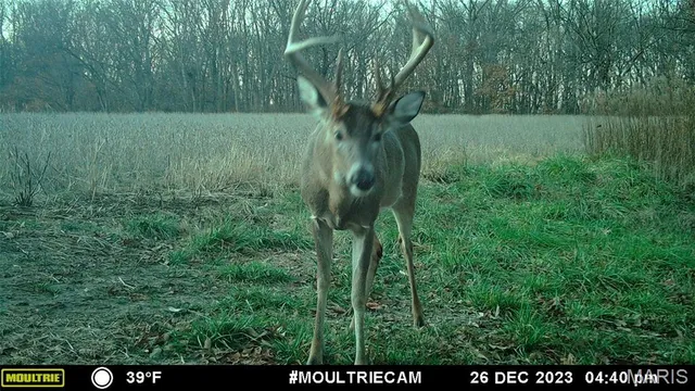 $2,725,000 | 1160 Union Grove Avenue, Greenville, IL 62246