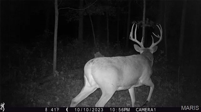 $2,725,000 | 1160 Union Grove Avenue, Greenville, IL 62246