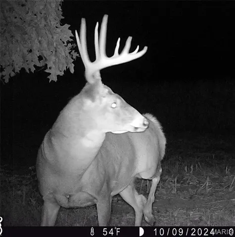 $2,725,000 | 1160 Union Grove Avenue, Greenville, IL 62246