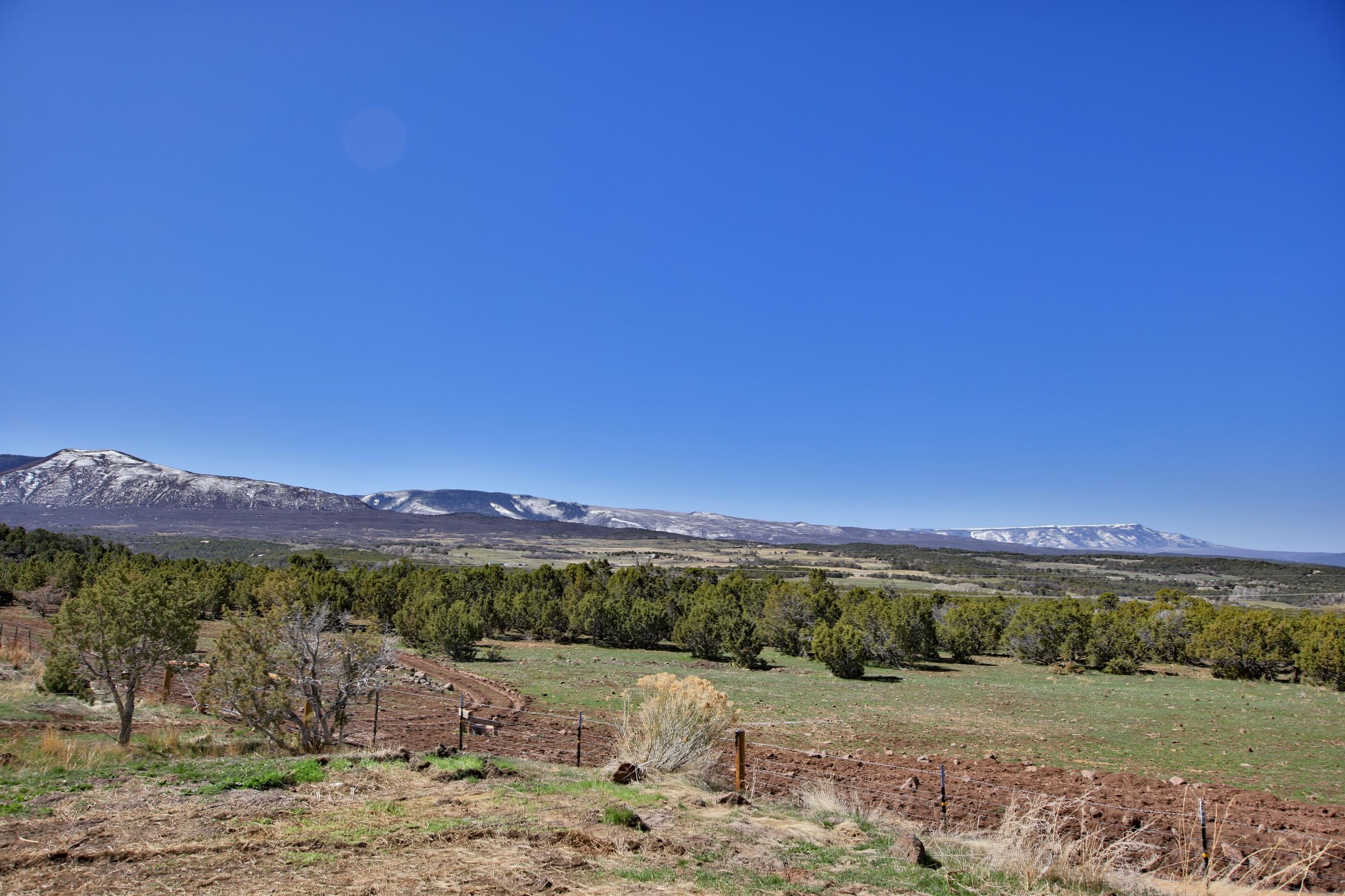 56001 KK Road Molina, CO 81646 - Photo 19 of 42 a view of an outdoor space
