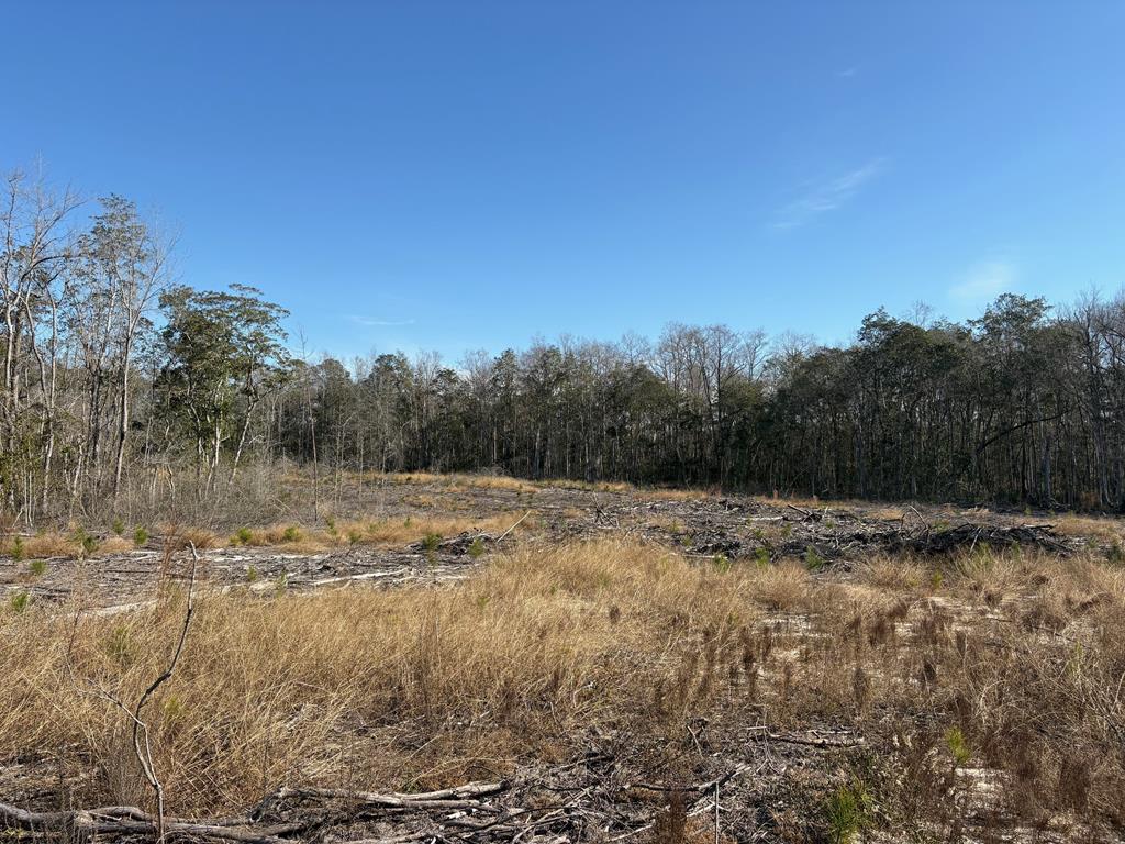 87 Highway 87 Samson, AL 36477 - Photo 29 of 47