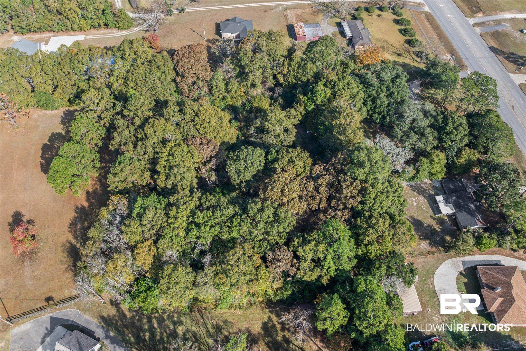 5225 Newburn Road Eight Mile, AL 36613 - Photo 6 of 10