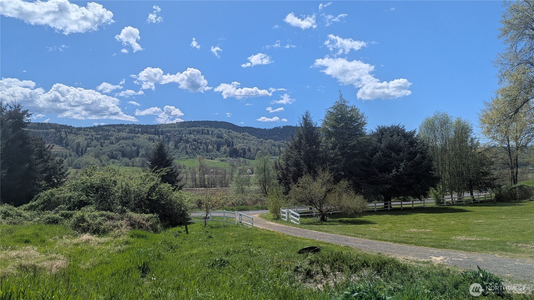 281 Jarvis Road Mossyrock, WA 98564 - Photo 22 of 23