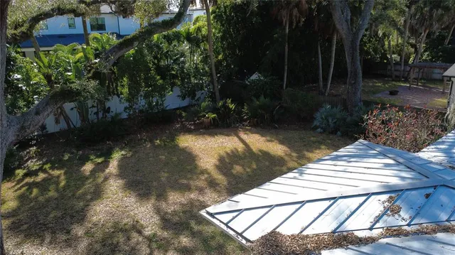 a view of a tree with a yard