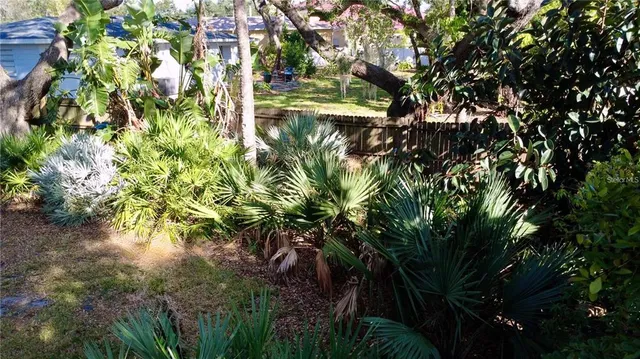 a backyard of a house with lots of green space