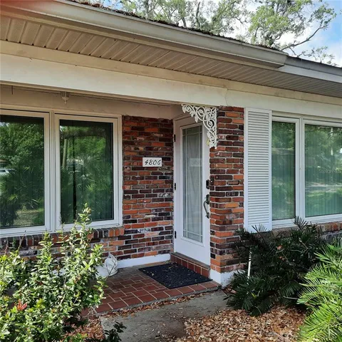 a view of backyard with plants and large trees