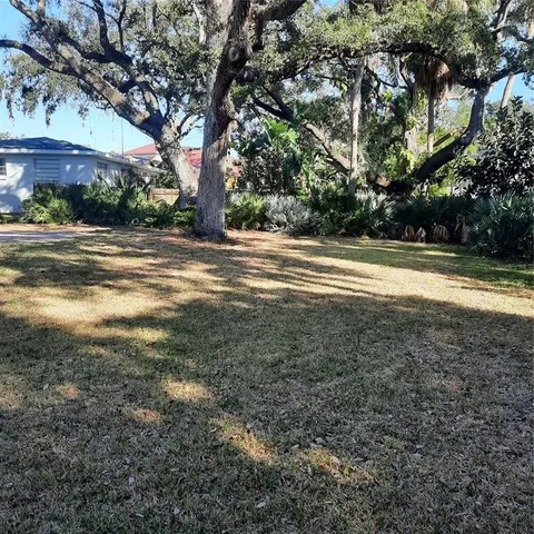 a view of a yard with plants and large trees