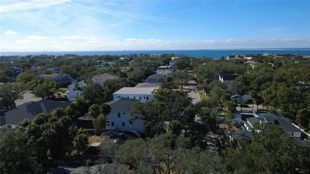 an aerial view of a house with a yard and large trees