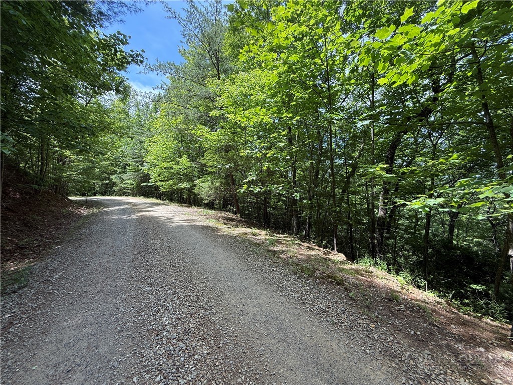 Lot 132 Warren Way Road Purlear, NC 28665 - Photo 4 of 36
