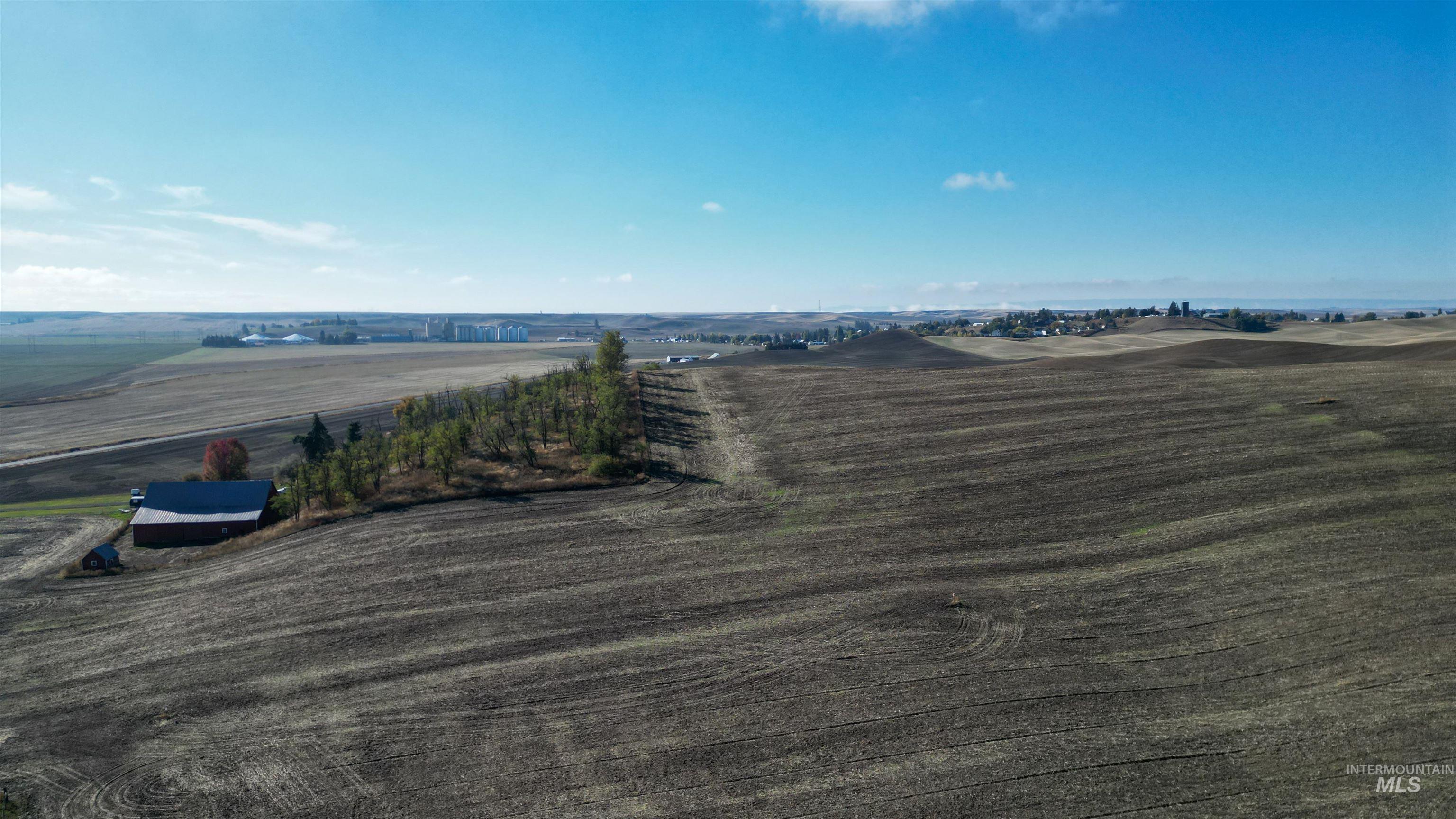 95 Old Highway 95 Road Genesee, ID 83832 - Photo 8 of 8