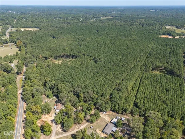 a view of a city with lush green forest