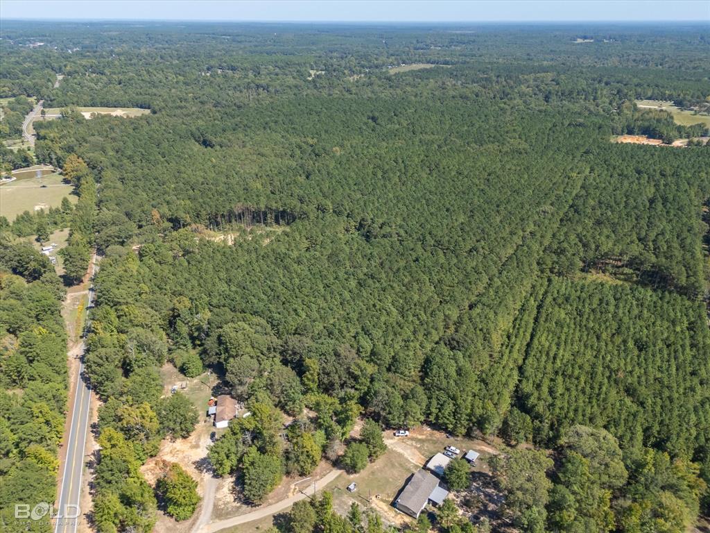 0 Old Plain Dealing Road Plain Dealing, LA 71064 - Photo 3 of 14 a view of a city with lush green forest