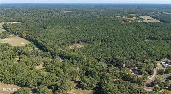 an aerial view of residential houses with outdoor space and trees