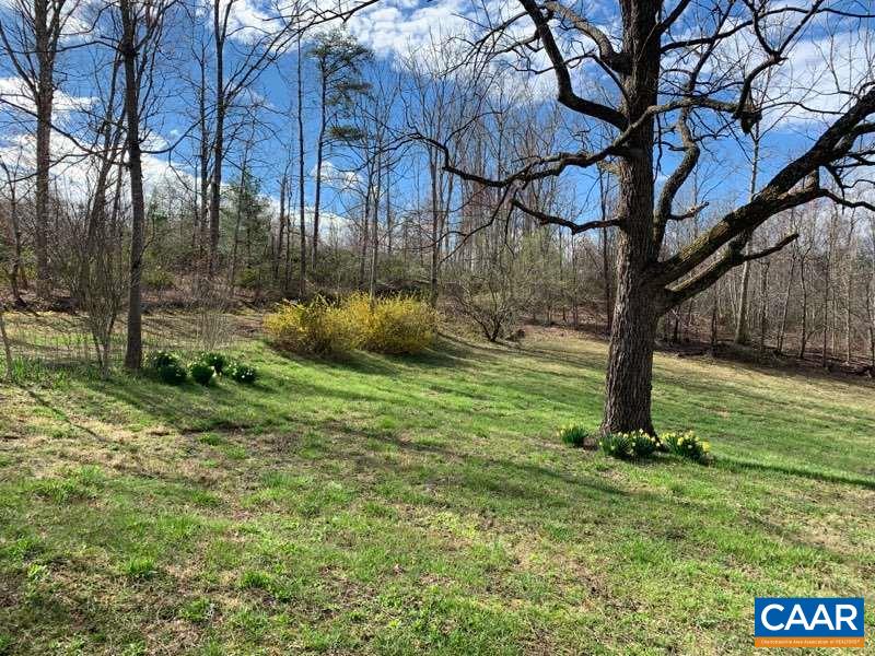 8914 Durrette Road Afton, VA 22920 - Photo 3 of 30 a view of a garden with a tree