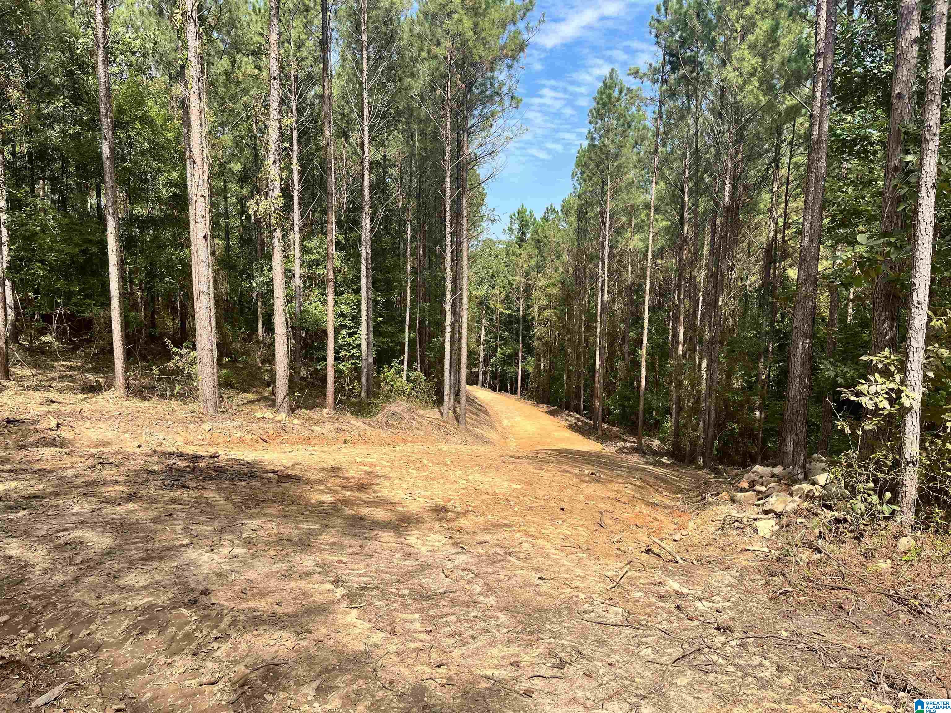 605 Sweet Apple Road, Unit TRACT 5 Cropwell, AL 35054 - Photo 1 of 8