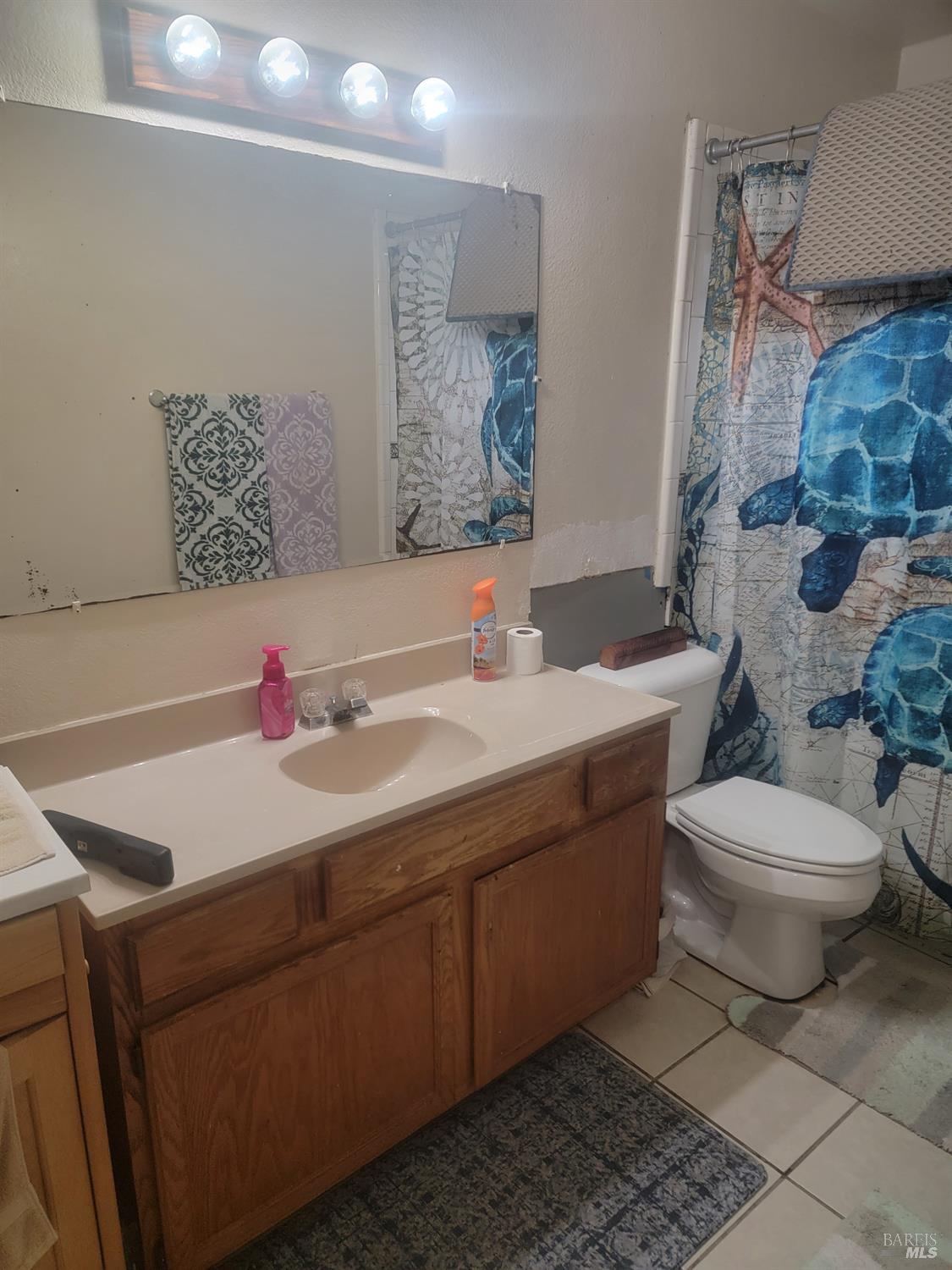 1005 Temple Avenue Santa Rosa, CA 95404 - Photo 16 of 20 a bathroom with a toilet sink and mirror